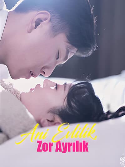 Nonton Ani Evlilik, Zor Ayrılık Subtitle Indonesia